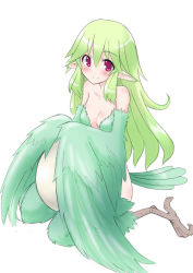 Rule 34 | 1girl, bad id, bad pixiv id, blush, breasts, claws, closed mouth, egg, feathers, green hair, hair between eyes, harpy, kneeling, kurotsutsuki, looking at viewer, medium breasts, monster girl, nude, original, pointy ears, red eyes, simple background, smile, solo, white background, winged arms, wings