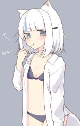 Rule 34 | 1girl, absurdres, animal ear fluff, animal ears, black bra, black panties, blue eyes, blue hair, blunt bangs, blush, bow, bow bra, bra, closed mouth, collarbone, collared shirt, commentary, dress shirt, grey background, groin, hair ornament, hairclip, hand up, highres, holding, holding toothbrush, long sleeves, looking at viewer, mayogii, multicolored hair, navel, open clothes, open shirt, original, panties, shirt, simple background, solo, streaked hair, tail, toothbrush, translated, underwear, white hair, white shirt