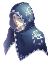 Rule 34 | androgynous, bad id, bad pixiv id, blue hair, gender request, hood, makoto k 7900, original, simple background, solo, t repens, upper body, white background