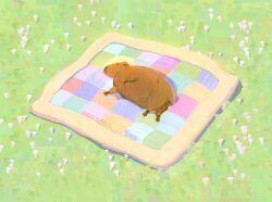 Rule 34 | animal, animal focus, artist name, blanket, capybara, closed eyes, commentary, day, english commentary, fat, flower, from above, full body, grass, highres, lying, no humans, on side, original, outdoors, quilt, sleeping, solo, twitter username, weiwei (peevishpants), white flower