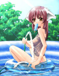 Rule 34 | 1girl, animal ears, bottomless, camisole, cat ears, cat tail, day, fish, food, from side, hose, innertube, light rays, looking at viewer, mouth hold, outdoors, pool, popsicle, solo, sparkle, sunbeam, sunlight, swim ring, tail, tree, wading pool, water, wet, wet clothes