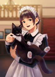 Rule 34 | 1girl, :d, animal, bad id, bad pixiv id, blue eyes, breasts, cat, facial hair, highres, holding, holding animal, holding cat, long sleeves, looking at viewer, maid, maid headdress, mustache, nashigaya koyomi, open mouth, original, pet, pleated skirt, purple hair, short hair, skirt, smile, solo, teeth, upper body, white skirt, wing collar