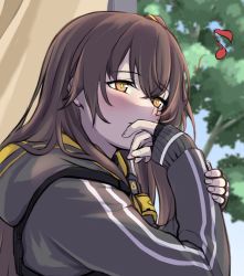 Rule 34 | 1girl, 3 small spiders, blush, brown hair, covering own mouth, girls&#039; frontline, grey jacket, hood, hooded jacket, jacket, long hair, looking at viewer, musical note, side ponytail, simple background, solo focus, tree, ump45 (girls&#039; frontline), upper body, window, yellow eyes