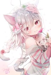 Rule 34 | 1girl, ahoge, animal, animal ears, animal on head, arms up, bad id, bad pixiv id, bare shoulders, cat ears, cat tail, choker, closed mouth, creature, detached wings, eyes visible through hair, flower, hair ornament, hair ribbon, hand on own chest, happy, highres, indie virtual youtuber, light blush, looking at viewer, manao misuzu, manao misuzu (artist), medium hair, multicolored hair, off shoulder, on head, paw print, pig, pink ribbon, plant, red eyes, ribbon, ribbon choker, silver hair, simple background, standing, tail, tail ornament, tail ribbon, virtual youtuber, white background, wings