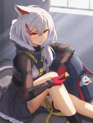 Rule 34 | 1girl, animal ears, arknights, backpack, bag, black eyes, black socks, breasts, feet out of frame, gloves, grey hair, hair ornament, hair over shoulder, hairclip, highres, indoors, knee up, kneehighs, long hair, looking at viewer, medium breasts, mole, mole under mouth, mouse (animal), mouse ears, mouse girl, mouse tail, open mouth, red eyes, red gloves, scavenger (arknights), scavenger (elite ii) (arknights), shironekoban, sitting, socks, solo, tail, thigh strap, twitter username
