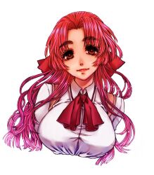 Rule 34 | 1girl, breasts, brown eyes, collared shirt, commentary request, cropped torso, hair ribbon, large breasts, long hair, looking at viewer, neck ribbon, pink hair, red ribbon, ribbon, saitou nekoichi, sayonara wo oshiete, shirt, simple background, smile, solo, straight-on, ueno koyori, upper body, white background, white shirt
