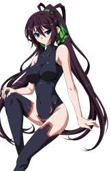 Rule 34 | 10s, 1girl, antenna hair, arm support, bare shoulders, black thighhighs, blue eyes, blush, bodysuit, breasts, covered navel, from side, hair between eyes, hair ribbon, halterneck, high ponytail, highres, impossible clothes, impossible leotard, infinite stratos, ka2, knee up, large breasts, leotard, long hair, looking at viewer, pelvic curtain, pilot suit, ponytail, purple hair, ribbon, shinonono houki, simple background, sitting, skin tight, solo, split ponytail, thighhighs, turtleneck, white background