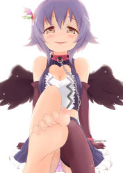 Rule 34 | 10s, 1girl, :d, bad id, bad pixiv id, bare shoulders, barefoot, black thighhighs, breasts, brown eyes, center opening, chain, cleavage cutout, clothing cutout, collar, cuffs, elbow gloves, feet, foot focus, gloves, grey hair, hair ornament, hairclip, heart, heart cutout, idolmaster, idolmaster cinderella girls, koshimizu sachiko, leg up, medium breasts, open mouth, panties, pantyshot, pink panties, short hair, skirt, smile, smirk, soles, solo, thighhighs, underwear, upskirt, wakamizu, wings