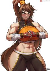 Rule 34 | 1girl, abs, bandaged arm, bandages, bare shoulders, batako (batakoart), breasts, brown eyes, brown hair, dnf duel, dungeon and fighter, fighter (dungeon and fighter), fingerless gloves, gloves, highres, large breasts, light smile, long hair, midriff, muscular, muscular female, ponytail, solo, striker (dungeon and fighter), thick thighs, thighs, very long hair