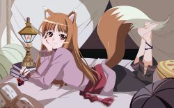 Rule 34 | 00s, 1girl, absurdres, animal ears, anklet, barefoot, bed, blush, book, brown hair, head rest, feet, full body, highres, holo, indoors, jewelry, lantern, long hair, lying, official art, on stomach, pillow, pouch, red eyes, sadakata kikuko, sash, smile, soles, solo, spice and wolf, tail, vector trace, watermark, wolf ears, wolf tail