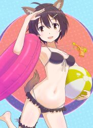 Rule 34 | 1girl, animal ears, bikini, black bikini, blush, brave witches, breasts, brown eyes, brown hair, hair ornament, hairclip, highres, karibuchi hikari, keicha (kmoekaki), looking at viewer, open mouth, short hair, small breasts, smile, solo, squirrel ears, squirrel tail, swimsuit, tail, world witches series