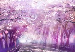 Rule 34 | branch, cherry blossoms, lantern, light rays, monorisu, no humans, original, paper lantern, scenery, sunbeam, sunlight, torii