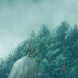 Rule 34 | bush, commentary request, flower, fog, grass, nature, no humans, original, plant, red flower, rock, scenery, tyb (inmu)