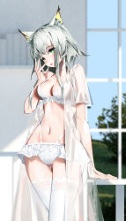 Rule 34 | 1girl, 2k14 chudong, :o, absurdres, animal ear fluff, arknights, blush, bra, breasts, cat tail, choker, cleavage, collarbone, day, green eyes, grey hair, hands up, highres, indoors, kal&#039;tsit (arknights), navel, open clothes, open mouth, open shirt, panties, photoshop (medium), see-through, shirt, short hair, short sleeves, solo, standing, stomach, table, tail, thighhighs, underwear, white bra, white choker, white panties, white shirt, white thighhighs, window