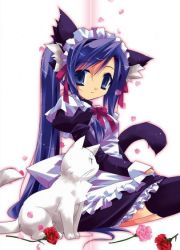 Rule 34 | 1girl, animal ears, artist request, black thighhighs, blue eyes, blue hair, cat, cat ears, cat tail, female focus, flower, looking at viewer, maid, matching hair/eyes, open mouth, sitting, solo, tail, thighhighs, zettai ryouiki