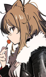 Rule 34 | 1girl, animal ear fluff, animal ears, arknights, black jacket, black nails, breasts, brown eyes, brown hair, candy, cleavage, closed mouth, food, fur-trimmed jacket, fur trim, hair between eyes, hand up, highres, holding, holding candy, holding food, holding lollipop, jacket, lion ears, lollipop, long hair, long sleeves, looking at viewer, looking to the side, medium breasts, nail polish, open clothes, open jacket, siege (arknights), simple background, solo, tank top, tetuw, upper body, white background, white tank top