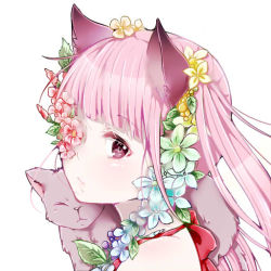 Rule 34 | 1girl, :/, animal ears, cat, cat ears, close-up, flower, flower on head, fuu (07199382), looking at viewer, original, pink eyes, pink hair