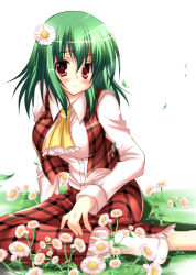 Rule 34 | 1girl, ascot, blush, breasts, daisy, female focus, flower, frown, green hair, hair flower, hair ornament, impossible clothes, impossible shirt, kazami yuuka, large breasts, leaf, meadow, nozomi tsubame, plaid, plaid skirt, plaid vest, red eyes, shirt, short hair, sitting, skirt, skirt set, solo, touhou, vest, white background