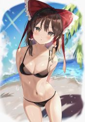 Rule 34 | 1girl, armpit crease, arms behind back, bare arms, bare shoulders, beach, bikini, black bikini, blurry, bow, breasts, brown eyes, brown hair, cleavage, cloud, collarbone, day, depth of field, hair bow, hair tubes, hakurei reimu, head tilt, highres, leaf, long hair, looking at viewer, medium breasts, navel, outdoors, outside border, parted lips, red bow, satoupote, skindentation, solo, standing, stomach, string bikini, swimsuit, thighs, touhou, water