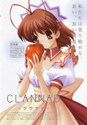 Rule 34 | 00s, 1girl, apple, clannad, food, fruit, furukawa nagisa, holding, holding food, holding fruit, maid, solo, waitress