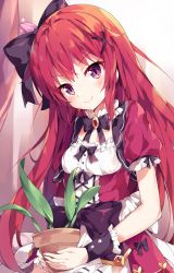 Rule 34 | 1girl, apron, black bow, black bowtie, black ribbon, blush, bow, bowtie, breasts, brooch, cattleya (flower knight girl), closed mouth, commentary request, dress, flower knight girl, frills, hair ornament, hair ribbon, head tilt, highres, holding, jewelry, long hair, looking at viewer, plant, potted plant, purple eyes, red dress, red hair, ribbon, short sleeves, sidelocks, small breasts, smile, solo, unacchi (nyusankin), upper body, very long hair, waist bow, wrist cuffs, x hair ornament