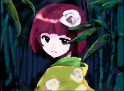Rule 34 | 1girl, bamboo, bamboo forest, blunt bangs, closed mouth, expressionless, female focus, floral print, flower, forest, hair flower, hair ornament, heida no akyuu, hieda no akyuu, japanese clothes, kimono, kuma (artist), kuma (crimsonvanilla), looking at viewer, looking back, nature, perfect memento in strict sense, purple eyes, purple hair, rose, short hair, solo, touhou, white flower, white rose