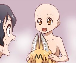 Rule 34 | 10s, 2girls, :d, animal ear fluff, animal ears, bad id, bad twitter id, bald, bald girl, black eyes, brown eyes, commentary, fake animal ears, kaban (kemono friends), kemono friends, multiple girls, ogry ching, open mouth, serval (kemono friends), simple background, smile, sweat, wide-eyed