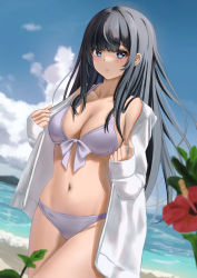 Rule 34 | 1girl, aimi (tikichin0229), bare shoulders, beach, bikini, black hair, blue eyes, blue sky, breasts, cloud, commentary request, cowboy shot, day, flower, grey bikini, hibiscus, jacket, large breasts, long hair, looking at viewer, navel, off shoulder, open clothes, open jacket, original, parted lips, red flower, sky, solo, standing, stomach, swimsuit, thighs, very long hair, white jacket