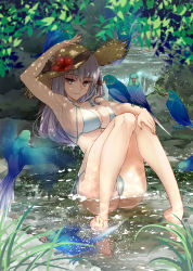 Rule 34 | 1girl, anklet, arm up, armpits, ass, bare shoulders, bikini, bird, blush, braid, breasts, cleavage, collarbone, fate/grand order, fate (series), flower, grass, hair ribbon, hat, hat flower, hibiscus, highres, jewelry, kama (fate), knees together feet apart, knees up, kuroaki, large breasts, legs, long hair, looking at viewer, nail polish, parrot, red eyes, revision, ribbon, side braid, silver hair, sitting, smile, straw hat, stream, swimsuit, water, white bikini