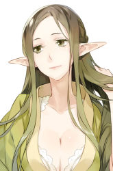 Rule 34 | 10s, 1girl, breasts, cleavage, elf, green eyes, green hair, large breasts, long hair, open clothes, pointy ears, psd, sakuya (sao), sword art online