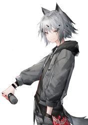 Rule 34 | 1girl, absurdres, ambience synesthesia, animal ears, arknights, chinese commentary, closed mouth, commentary request, from side, gkd111, grey eyes, grey jacket, grey pants, hair ornament, hairclip, hand in pocket, highres, holding, holding microphone, jacket, lappland (arknights), long sleeves, looking at viewer, looking to the side, microphone, official alternate costume, open clothes, open jacket, pants, print jacket, scar, scar across eye, scar on face, short hair, silver hair, smile, solo, tail, white background, wolf ears, wolf girl, wolf tail, wristband