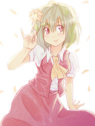 Rule 34 | 1girl, absurdres, anarogumaaa, ascot, bad id, bad pixiv id, female focus, flower, green hair, highres, holding, holding flower, kazami yuuka, petals, pinky out, plaid, plaid vest, red eyes, short hair, smile, solo, touhou, traditional media, vest