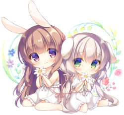 Rule 34 | 2girls, animal ears, bare arms, bare shoulders, barefoot, blue flower, blush, braid, brown eyes, brown hair, chibi, closed mouth, collarbone, commentary, covered mouth, dog ears, dress, floral background, flower, flower over mouth, frilled dress, frills, green eyes, grey hair, hair between eyes, hair ribbon, holding, holding flower, long hair, multiple girls, original, pink ribbon, puffy short sleeves, puffy sleeves, purple flower, rabbit ears, red flower, ribbon, short sleeves, sitting, sleeveless, sleeveless dress, smile, symbol-only commentary, twintails, very long hair, wariza, white background, white dress, white flower, white ribbon, yukie (peach candy)