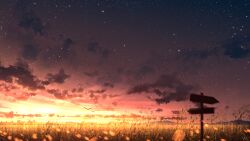 Rule 34 | bird, chinese commentary, cloud, commentary request, grass, highres, horizon, light particles, no humans, original, outdoors, rune xiao, scenery, sign, signature, simple bird, sky, star (sky), starry sky, sunset