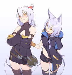 Rule 34 | 2girls, :d, animal ears, arknights, arm behind back, bare shoulders, belt, black legwear, black shorts, blush, brown belt, brown gloves, chinese commentary, commentary request, cowboy shot, detached sleeves, dress, gloves, gradient background, grey background, hair between eyes, head tilt, high collar, jacket, large tail, long hair, long sleeves, looking at another, looking to the side, midriff, mouse ears, mouse tail, multiple girls, nian (zhanian), open mouth, pouch, provence (arknights), purple dress, purple jacket, scavenger (arknights), short dress, short hair, short shorts, short sleeves, shorts, silver hair, smile, standing, tail, thighhighs, thighs, white background, wolf ears, wolf tail, yellow eyes, yellow gloves, zettai ryouiki