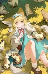 Rule 34 | 1girl, animal ears, arknights, blonde hair, blue dress, brown footwear, cat, closed mouth, dress, grass, green eyes, knee up, long sleeves, looking at viewer, lying, on back, red ribbon, ribbon, shio (shiofeifei), shoes, suzuran (arknights), white hair