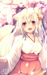 Rule 34 | 1girl, :d, animal ear fluff, animal ears, blurry, blurry background, blush, breasts, chita (ketchup), commentary request, depth of field, fangs, flower, fox ears, fox girl, fox tail, hair between eyes, hair flower, hair ornament, head tilt, highres, japanese clothes, kimono, long hair, long sleeves, open mouth, original, pleated skirt, red eyes, red skirt, short eyebrows, short hair, skirt, sleeves past wrists, small breasts, smile, solo, tail, tail raised, thick eyebrows, very long hair, white flower, white hair, white kimono, wide sleeves