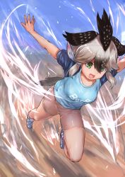 Rule 34 | 1girl, :d, bike shorts, bird tail, black hair, blouse, blue shirt, clothes writing, greater roadrunner (kemono friends), green eyes, hair between eyes, highres, kemono friends, kemono friends 2, multicolored hair, open mouth, outstretched arms, raglan sleeves, running, shirt, short sleeves, silver hair, smile, solo, spread arms, tadano magu, tail