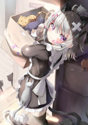 Rule 34 | 1girl, = =, ahoge, animal, animal ear fluff, animal ears, apron, bandaid, bandaid on arm, bandaid on cheek, bandaid on face, black cat, black dress, black hairband, black thighhighs, blush, box, cardboard box, cat, cat ears, cat tail, closed eyes, closed mouth, commentary request, dress, fake animal ears, frilled apron, frills, grey hair, hair between eyes, hair ornament, hairband, heart, heart hair ornament, highres, holding, holding box, in box, in container, indoors, looking at viewer, looking back, maid, maid apron, natuna natu, open door, original, puffy short sleeves, puffy sleeves, purple eyes, short sleeves, sign, solo, tail, thighhighs, white apron, white cat, wooden floor, x hair ornament
