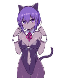 Rule 34 | 1girl, animal ears, black leotard, breasts, cat ears, cat tail, center opening, chan co, cleavage, cowboy shot, dark-skinned female, dark skin, detached collar, fate/grand order, fate/prototype, fate/prototype: fragments of blue and silver, fate (series), gluteal fold, hassan of serenity (fate), kittysuit, leotard, looking at viewer, medium breasts, neck ribbon, nontraditional playboy bunny, pantyhose, purple hair, red ribbon, ribbon, short hair, simple background, solo, strapless, strapless leotard, tail, thigh gap, white background, wrist cuffs