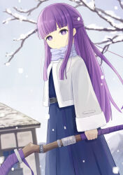 Rule 34 | 1girl, belt, blue dress, blunt bangs, blunt ends, branch, closed mouth, coat, commentary request, day, dress, enokitake, fern (sousou no frieren), grey coat, grey sky, highres, hime cut, holding, holding staff, long sleeves, looking at viewer, mountain, outdoors, overcast, purple eyes, purple hair, sky, snow, snowing, solo, sousou no frieren, staff