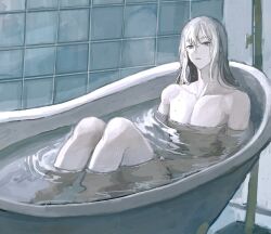 Rule 34 | 1boy, 31tamagokake580, bathing, bathtub, bedivere (fate), commentary, expressionless, fate/grand order, fate (series), feet out of frame, green eyes, hair between eyes, hair down, highres, indoors, knees up, long hair, looking at viewer, male focus, nude, parted lips, partially submerged, sitting, solo, tile wall, tiles, water pipe, wet, wet hair, white hair
