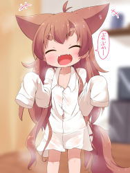 Rule 34 | +++, 1girl, :d, ^ ^, animal ears, antenna hair, blurry, blurry background, blush, brown hair, closed eyes, collared shirt, commentary request, depth of field, dog ears, dog girl, dog tail, dress shirt, facing viewer, fangs, head tilt, highres, long hair, long sleeves, makuran, momiji (makuran), naked shirt, navel, open mouth, original, oversized object, shirt, short eyebrows, sleeves past fingers, sleeves past wrists, smile, solo, spread legs, tail, thick eyebrows, translated, v-shaped eyebrows, very long hair, wet, white shirt