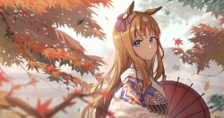 Rule 34 | 1girl, absurdres, animal ears, autumn, autumn leaves, blue eyes, blue ribbon, blurry, bow, brown hair, commentary, day, ear ribbon, eyelashes, falling leaves, from side, grass wonder (umamusume), hair ribbon, highres, horse ears, horse girl, japanese clothes, jeze, kimono, leaf, long hair, looking at viewer, looking to the side, multicolored ribbon, oil-paper umbrella, outdoors, red ribbon, ribbon, sidelocks, solo, umamusume, umbrella, upper body
