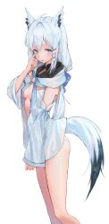Rule 34 | 1girl, absurdres, animal ears, ascot, bare legs, blue ascot, blue eyes, braid, breasts, detached sleeves, fox ears, fox girl, fox tail, hair between eyes, highres, hololive, kaze 22, long hair, looking at viewer, no pants, open clothes, open mouth, panties, shirakami fubuki, shirakami fubuki (1st costume), side braid, simple background, small breasts, solo, tail, underwear, virtual youtuber, white background, white hair, white panties