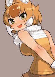 1girl animal_ears brown_eyes brown_hair dhole_(kemono_friends) extra_ears gloves grey_background kemono_friends looking_at_viewer looking_back multicolored_hair rinx scarf short_hair simple_background skirt sleeveless solo two-tone_hair upper_body white_hair wolf_ears wolf_girl