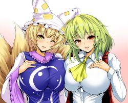 Rule 34 | 2girls, animal hat, ascot, blonde hair, blush, breasts, commentary request, dress, fox tail, frilled shirt collar, frills, gradient background, green hair, hand on own chest, hat, head tilt, huge breasts, kazami yuuka, koza900, long sleeves, looking at viewer, mob cap, multiple girls, multiple tails, one eye closed, parted lips, pink background, plaid, plaid vest, red eyes, red vest, shirt, short hair, smile, tabard, tail, touhou, upper body, vest, white background, white dress, white hat, white shirt, wide sleeves, yakumo ran, yellow ascot, yellow eyes