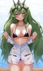 Rule 34 | 1girl, absurdres, bare shoulders, beach, bikini, bikini under clothes, black bikini, blush, breasts, commentary, cream bread, crown, crown ornament, earrings, english commentary, green hair, grey eyes, highres, honkai (series), honkai impact 3rd, jewelry, long hair, long sleeves, looking at viewer, mobius (honkai impact), ocean, open mouth, panties, panties visible through clothes, shirt, single earring, sky, speech bubble, swimsuit, two-tone eyes, unbuttoned, unbuttoned shirt, underwear, upper body, very long hair, wet, wet clothes, wet shirt, white shirt