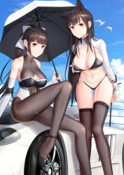 Rule 34 | 2girls, animal ears, artist name, atago (azur lane), atago (stunning speedster) (azur lane), azur lane, bare shoulders, bikini, bikini tug, bird, black bikini, black bow, black footwear, black hair, blue sky, blush, bodystocking, bow, breasts, brown eyes, car, checkered flag, cleavage, cleavage cutout, closed mouth, clothing cutout, cloud, cloudy sky, collarbone, day, extra ears, feet out of frame, fine fabric emphasis, flag, footwear bow, gluteal fold, hair flaps, high heels, highres, impossible clothes, kep (ahokep), leotard, logo, long hair, long sleeves, looking at viewer, midriff, mole, mole under eye, motor vehicle, multicolored leotard, multiple girls, navel, official alternate costume, on vehicle, outdoors, pantyhose, ponytail, race queen, revision, ribbon, seagull, shrug (clothing), sidelocks, sitting, skindentation, sky, sleeve cuffs, smile, stomach, strap gap, swept bangs, swimsuit, takao (azur lane), takao (full throttle charmer) (azur lane), thighs, two-tone bikini, two-tone leotard, umbrella, unitard, very long hair, white bow, white footwear, white ribbon, wolf ears, wrist cuffs