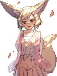 Rule 34 | 1girl, :d, animal ear fluff, animal ears, arms behind back, blonde hair, collarbone, commentary request, dress, flower, fox ears, fox girl, fox tail, hair flower, hair ornament, hairclip, highres, jacket, looking at viewer, open clothes, open jacket, open mouth, original, pink flower, pink jacket, red eyes, short hair, simple background, smile, solo, swept bangs, tail, tail raised, white background, white dress, yuuji (yukimimi)